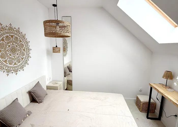 Szyszka 2 * Rogowo (Gryfice)